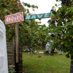 Viby-høstfest_2014_-79